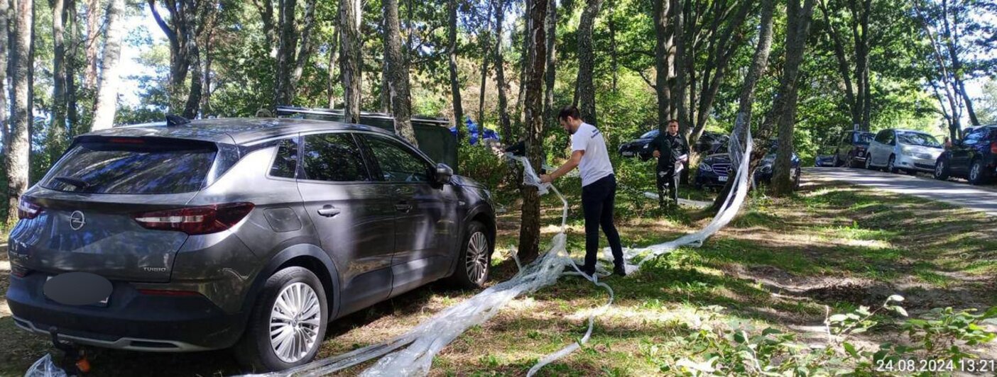 Полуголые в коконах: в Куликово провели очередной рейд и разгромили плёночные заборы палаточников (фото) - Новости Калининграда | Минприроды Калининградской области 