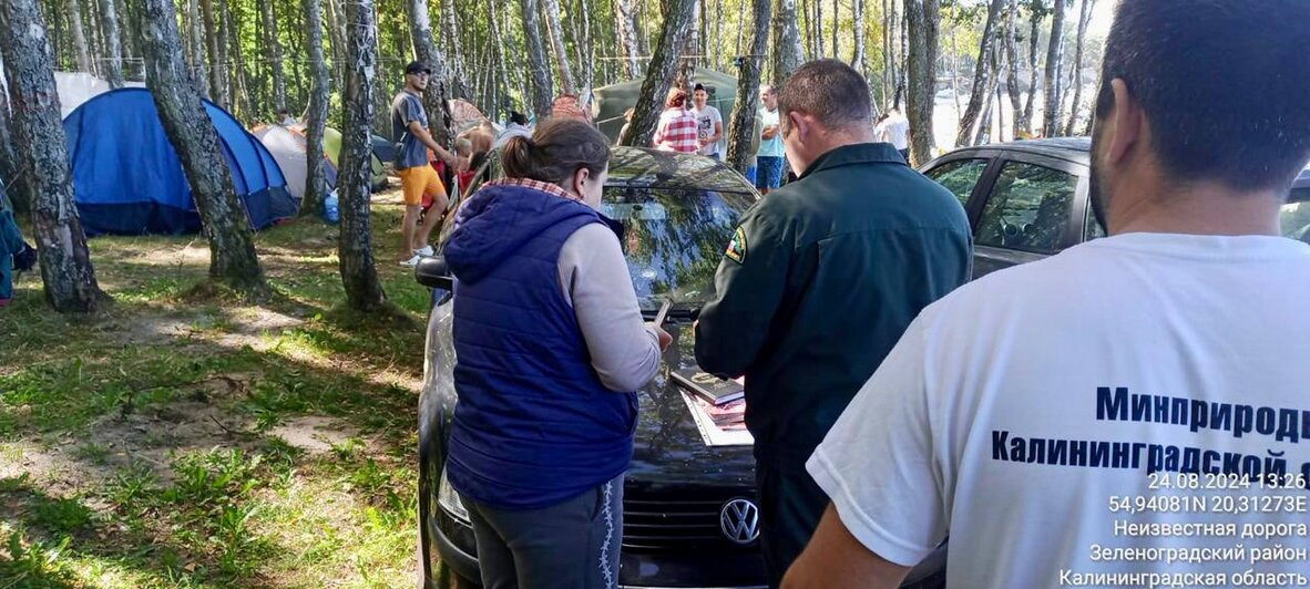 Полуголые в коконах: в Куликово провели очередной рейд и разгромили плёночные заборы палаточников (фото) - Новости Калининграда | Минприроды Калининградской области 