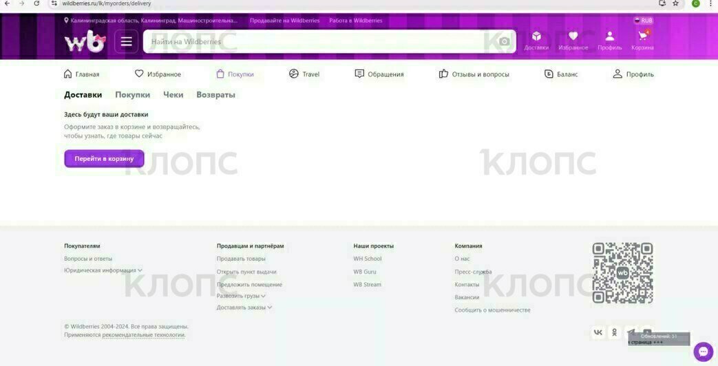 Калининградцы пожаловались на сбой в работе маркетплейса Wildberries (фото)  - Новости Калининграда | Фото: Светлана