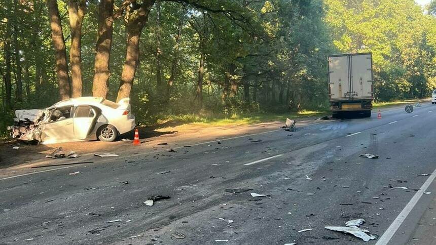 На Карташева легковушка выехала на встречку и поочерёдно врезалась в грузовик, другое авто и дерево - Новости Калининграда | Фото: ГАИ региона