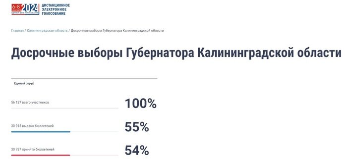 В облизбиркоме разъяснили, как голосовать дистанционно, чтобы электронный бюллетень попал в электронную урну  - Новости Калининграда | Фото: скриншот с портала vybory.gov.ru