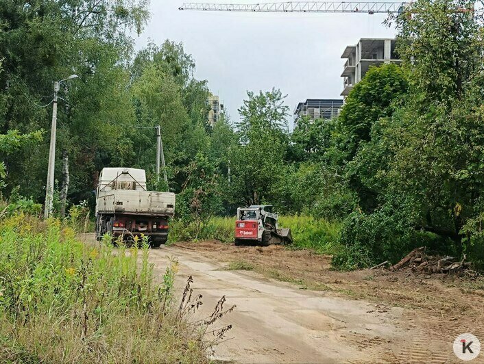 В Калининграде на улице Изумрудной уничтожили зелень (фото) - Новости Калининграда | Фото: очевидец