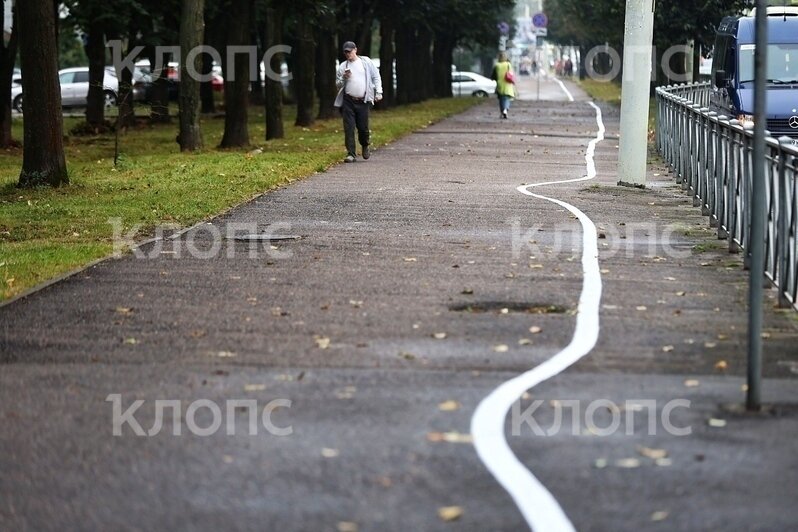 Огибает то люк, то дерево, то столб: на Моспроспекте появилась «пьяная» велодорожка (фото) - Новости Калининграда | Фото: Александр Подгорчук / «Клопс»