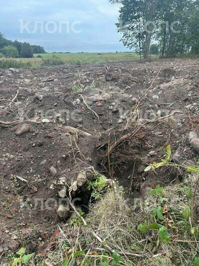 В Знаменске экскаваторы уничтожают парк, добывая природный камень (фото, видео)  - Новости Калининграда | Фото: очевидец