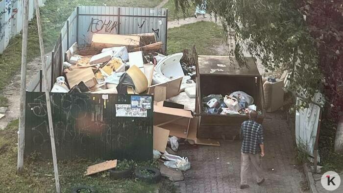 Отсюда крупногабаритный мусор не вывозят давно. | Фото: Анна