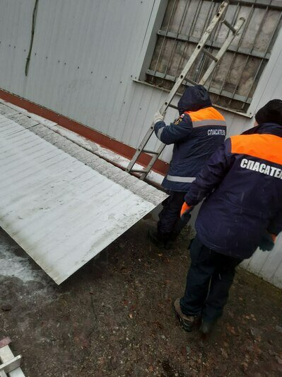 В Калининграде спасатели помогли достать из ямы Волчка: пёс угодил в ловушку, испугавшись шума фейерверков (видео) - Новости Калининграда | Фото очевидцев