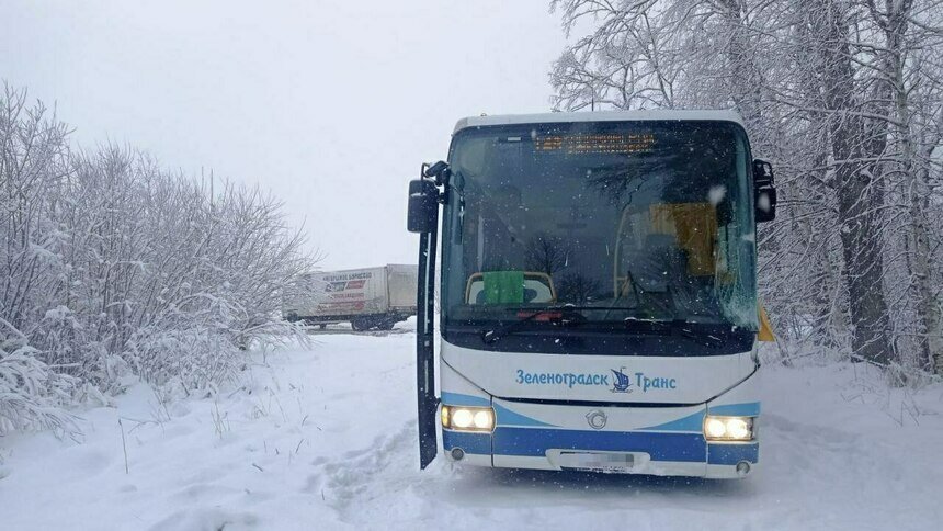 В Багратионовском районе грузовик выехал на встречку и врезался в пассажирский автобус   - Новости Калининграда | Фото: пресс-служба региональной ГИБДД