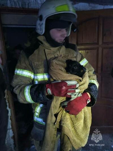 В Правдинском районе из горящего дома спасли 4 человек и собаку - Новости Калининграда | Фото: пресс-служба МЧС по Калининградской области