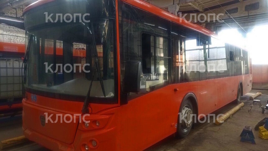 Тоже рыжий: «Калининград-ГорТранс» получил первый из 33 новых автобусов марки ЛиАЗ (фото) - Новости Калининграда | Фото читателя