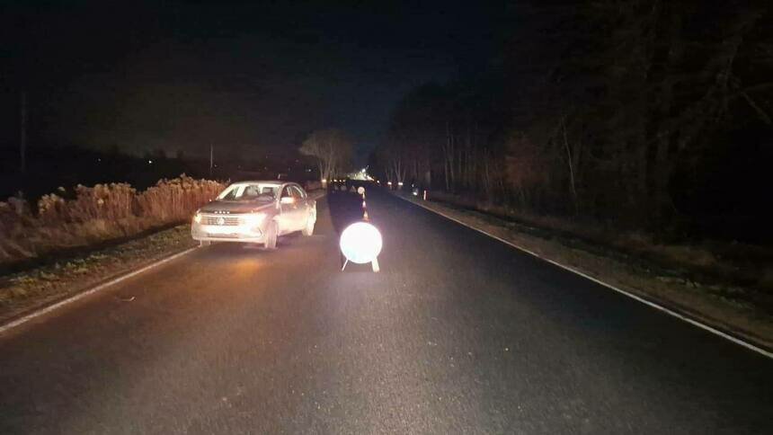 Под Мамоново легковушка сбила шедшую по обочине женщину, возбуждено ...