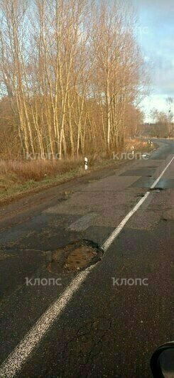 Жители Донского хотят пожаловаться президенту «на ужасное состояние дорог», в посёлке объявили сбор подписей - Новости Калининграда | Фото: очевидцы