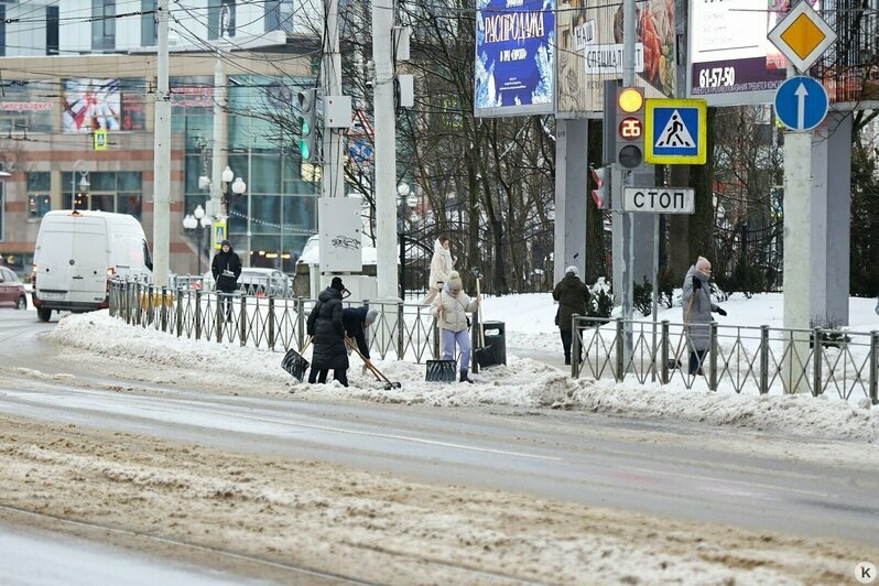 Крушение самолёта, смерть кота Твикса и воскресник мэрии в Калининграде: 8 новостей, которые вы могли пропустить в выходные - Новости Калининграда | Фото: Александр Подгорчук / «Клопс»