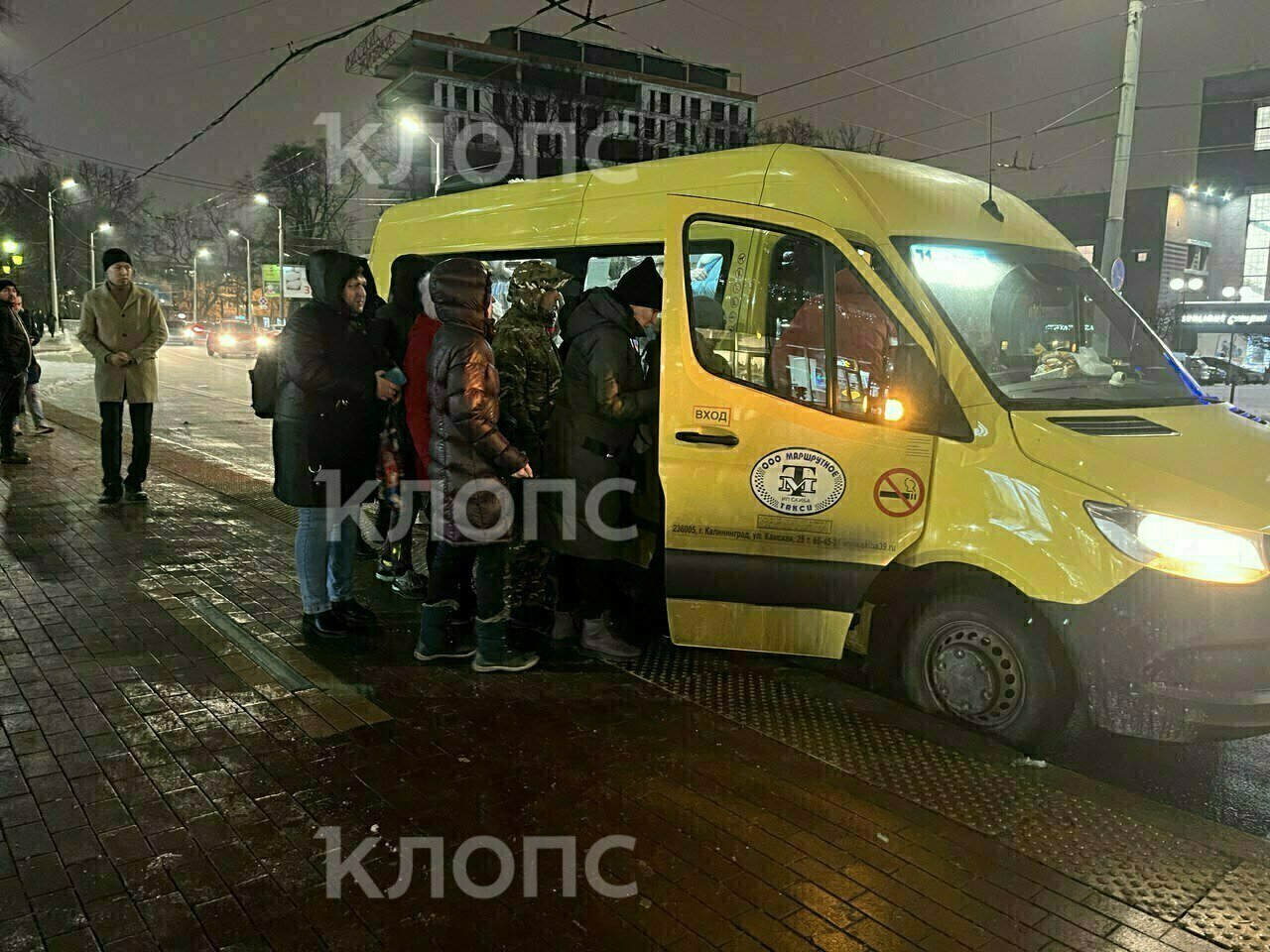 Сам себе контролёр: калининградцев возмутили матерные наклейки на автобусе  - Новости Калининграда