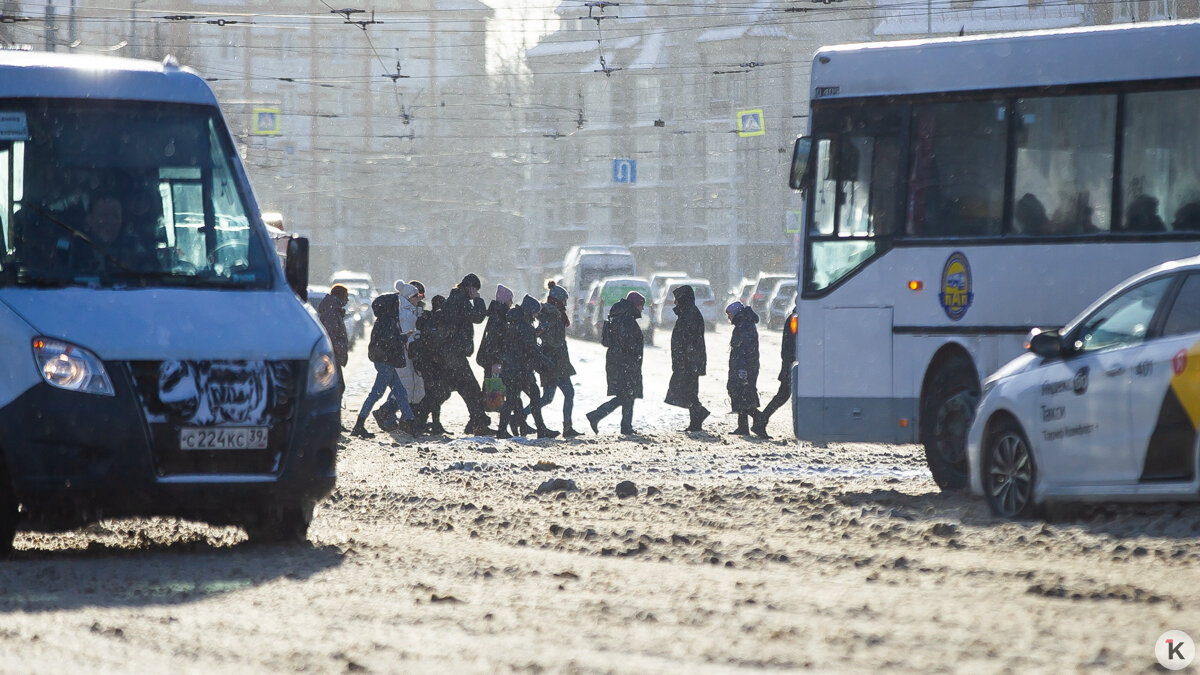 Из-за ДТП на Леонова 5 автобусов и троллейбус поехали в объезд - Новости  Калининграда