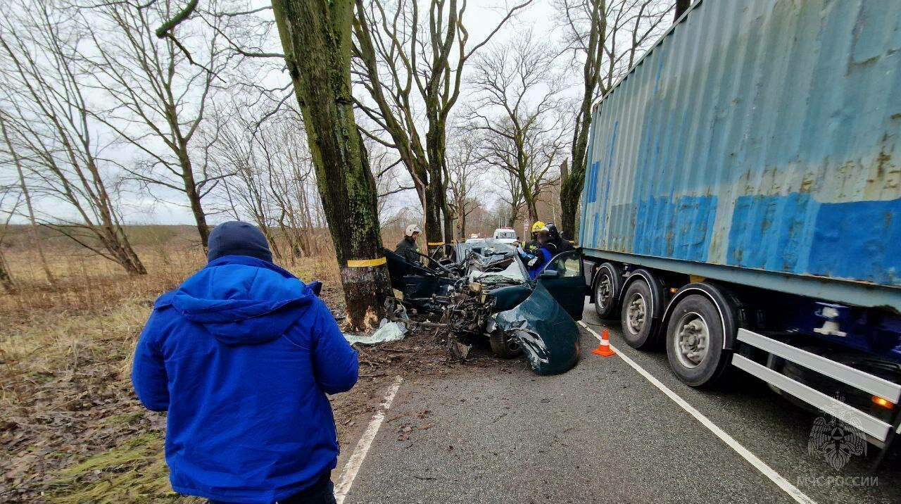 По дороге на Балтийск легковушка врезалась в дерево, погиб 47-летний  водитель - Новости Калининграда