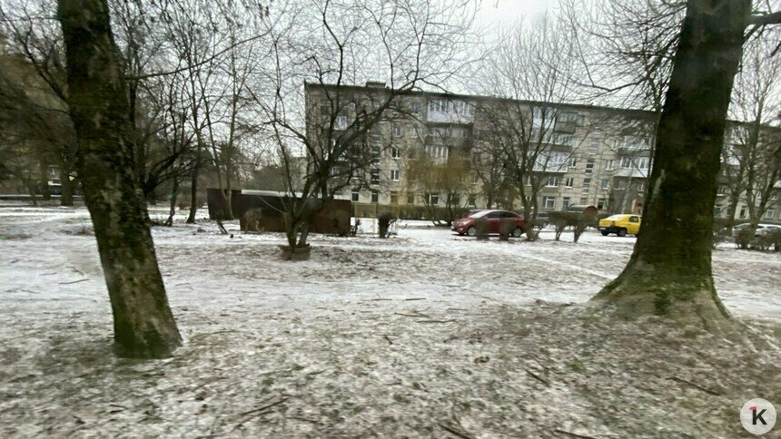 Сова ул фестивальная аллея 20 Сова ул фестивальная аллея 20