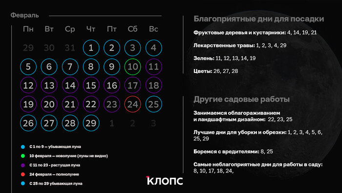 Лунный календарь Ксении Шаховой на февраль 2024 | Иллюстрация: Александр Скачко / «Клопс»