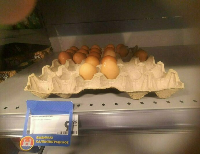 Так стоили яйца в «Виктории», «Пятёрочке» и «Спаре» в октябре | Фото: «Клопс»