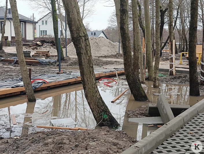 Вода в подвалах, на участках и новом сквере: жители Космодемьянского жалуются на подтопления - Новости Калининграда | Фото предоставлено читателем издания