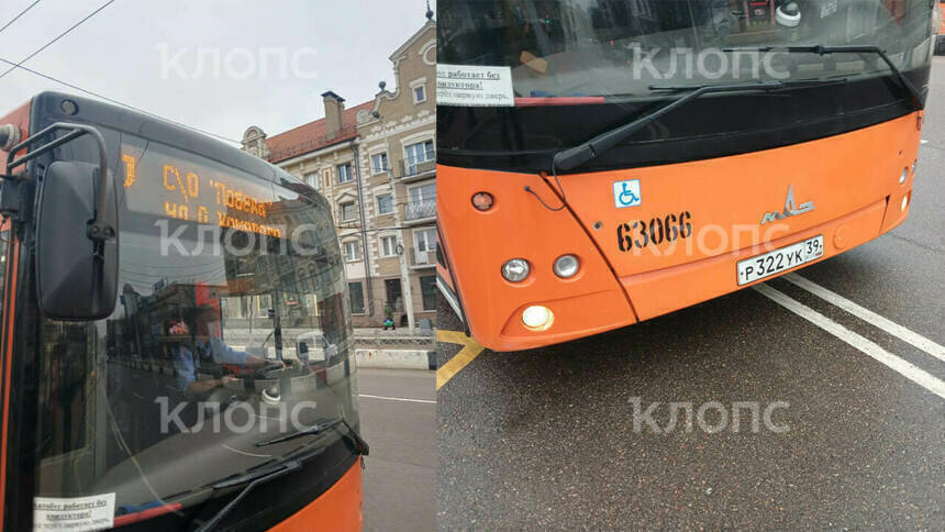 «Это издевательство»: в Калининграде пассажиры сели в автобус №7, а поехали по другому маршруту - Новости Калининграда | Фото предоставлено читателем издания