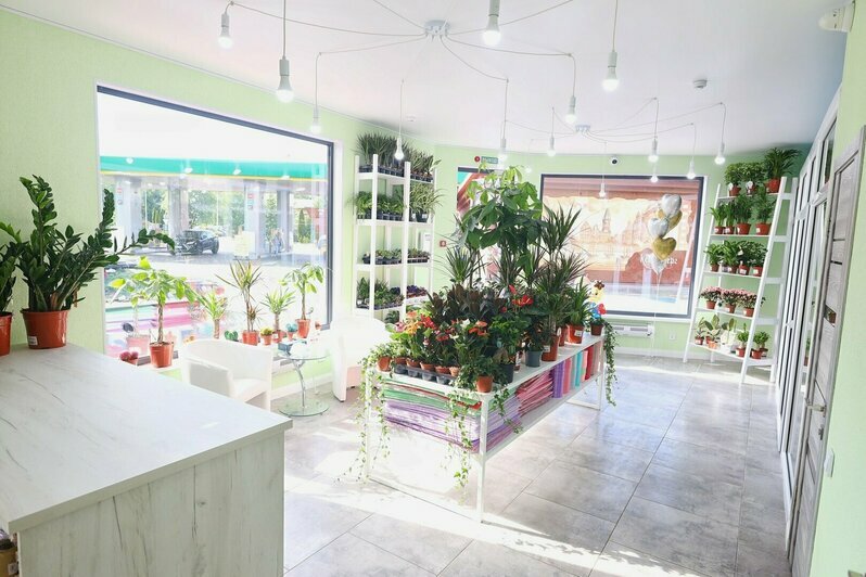 В Калининграде открывается оптово-розничная база цветов «Калинково» - Новости Калининграда