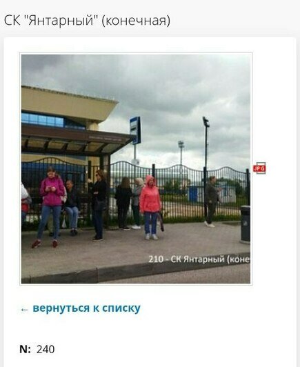 Сам себе контролёр: автобусы «Калининград-ГорТранса» не соблюдают расписание, на линии появился рваный трамвай (фото) - Новости Калининграда