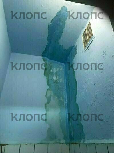 Затопленные коридора общежития №2 педагогического колледжа в Черняховске | Фото прислали очевидцы