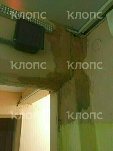 Затопленные коридора общежития №2 педагогического колледжа в Черняховске | Фото прислали очевидцы