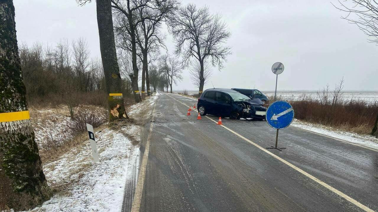 В Славском районе автомобилистка не справилась с управлением и врезалась в  дерево - Новости Калининграда