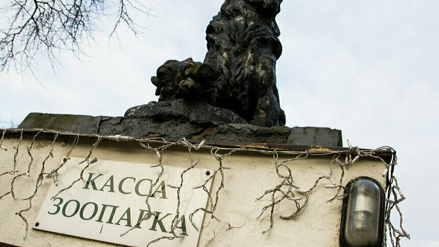 В Калининградском зоопарке с 15 февраля откроется вход со стороны Чайковского    - Новости Калининграда | Фото: архив «Клопс»