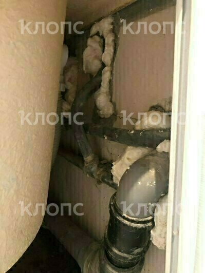 Летучие мыши пробирались через дыру в стене под ванной, теперь её заделали  | Фото: предоставила Регина
