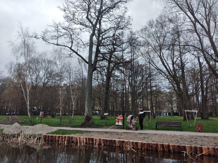 В городском парке Зеленоградска укрепят берега озера и заменят асфальт на тротуарную плитку   - Новости Калининграда | Фото: «Клопс»