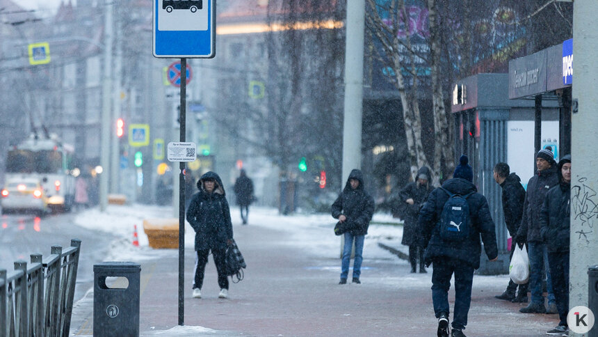 В Калининграде на праздничные выходные отменяют работу три автобусных ...