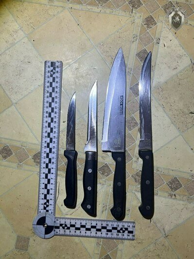 Изъятые в квартире ножи | Фото: СУ СК России по Калининградской области 