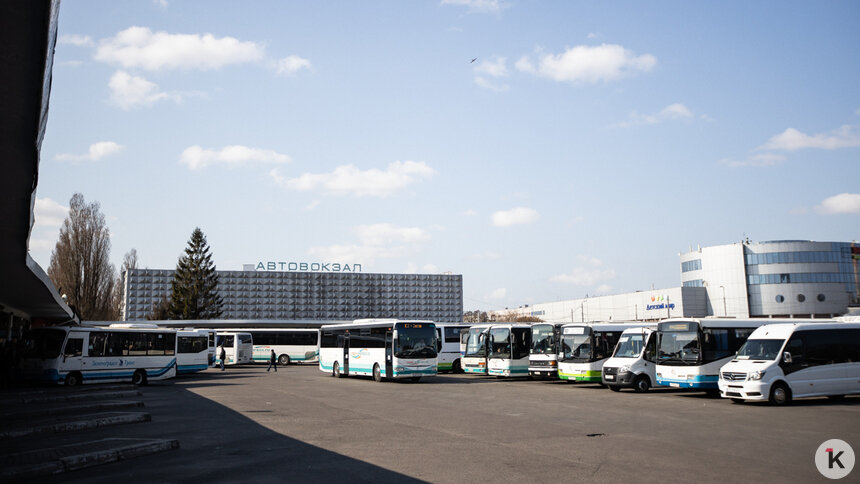 Из Калининграда запустили ещё один автобусный маршрут в Германию - Новости Калининграда | Фото: Александр Подгорчук / Архив «Клопс»