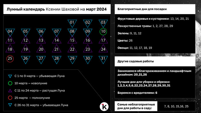 Лунный календарь Ксении Шаховой на март 2024 | Иллюстрация: Александр Скачко / «Клопс»