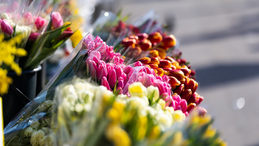 Кто заглядывает в окна к спящим: приметы на Иванов день 8 марта ...