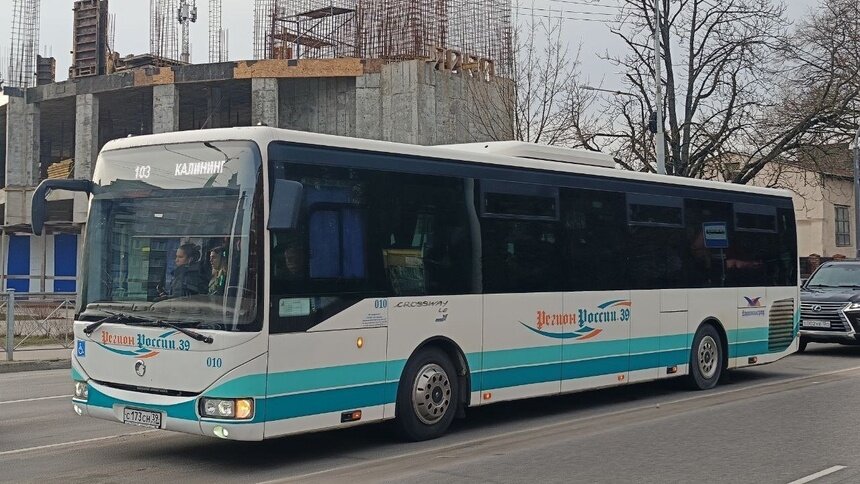 На маршрут №103 «Калининград — Гурьевск» выпустили автобусы другого перевозчика - Новости Калининграда | Фото читателя