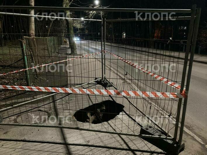 «Смущает пустота под землёй»: на Каштановой Аллее провалилась часть тротуара (фото) - Новости Калининграда | Фото читателя