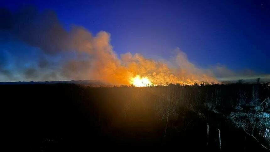 Пожар заметили 8 марта в 19:45 в районе посёлков Круглово и Путилово | Фото: очевидец Мария