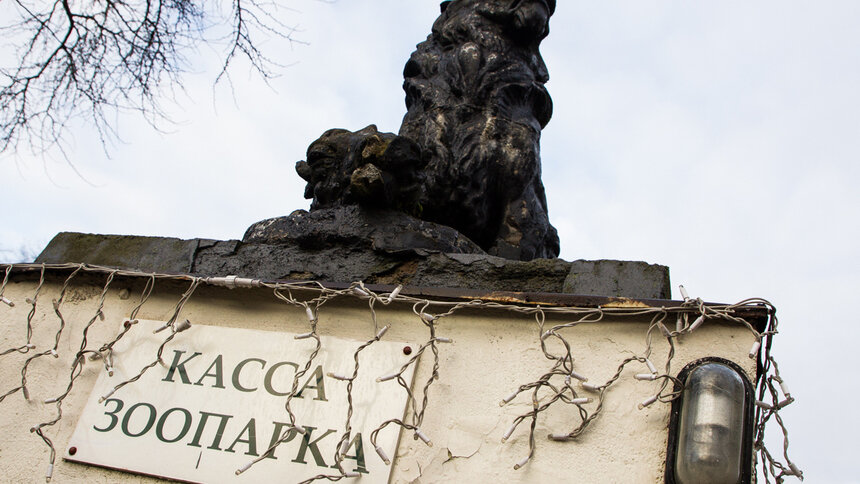 Калининградский зоопарк с 15 марта меняет режим работы   - Новости Калининграда | Фото: архив «Клопс»