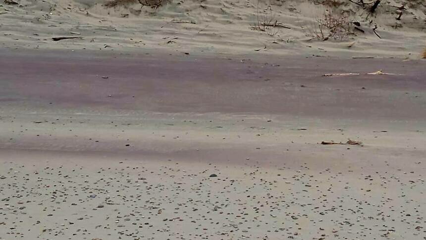 Песок на пляжах Куршской косы окрасился в розовый (фото) - Новости ...