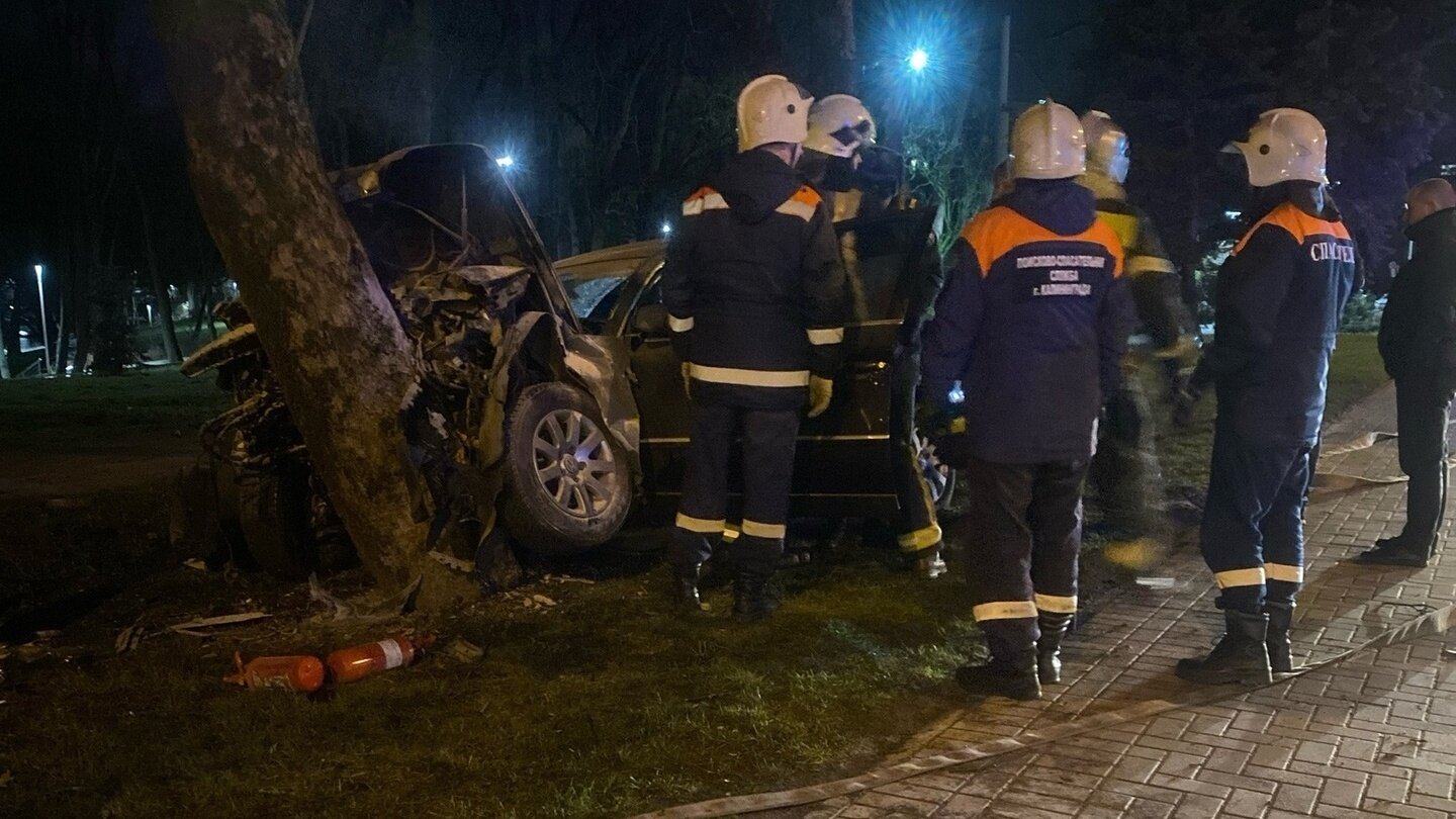 На Черняховского автомобиль врезался в дерево (фото) - Новости Калининграда