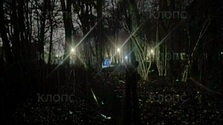 Поиски Павлика в ночном Чкаловске  | Фото: ПСО «Запад»