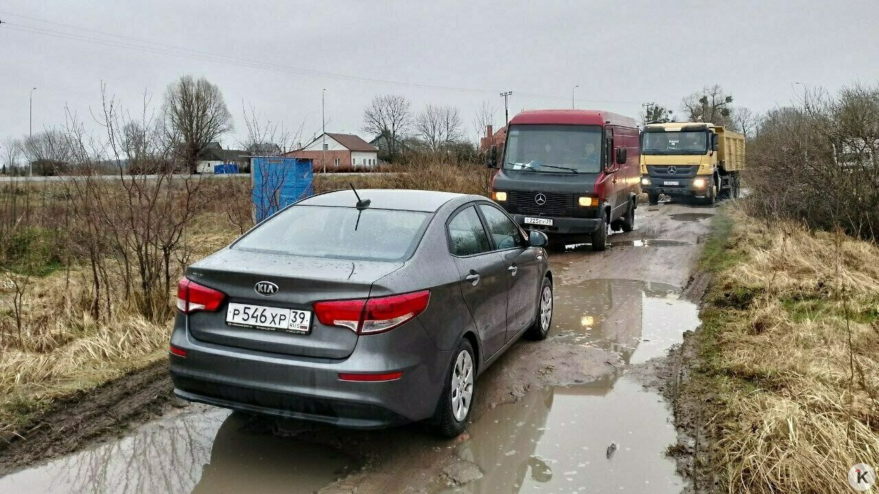 На просёлочной дороге под Калининградом два водителя отказались пропускать  друг друга и простояли почти час - Новости Калининграда