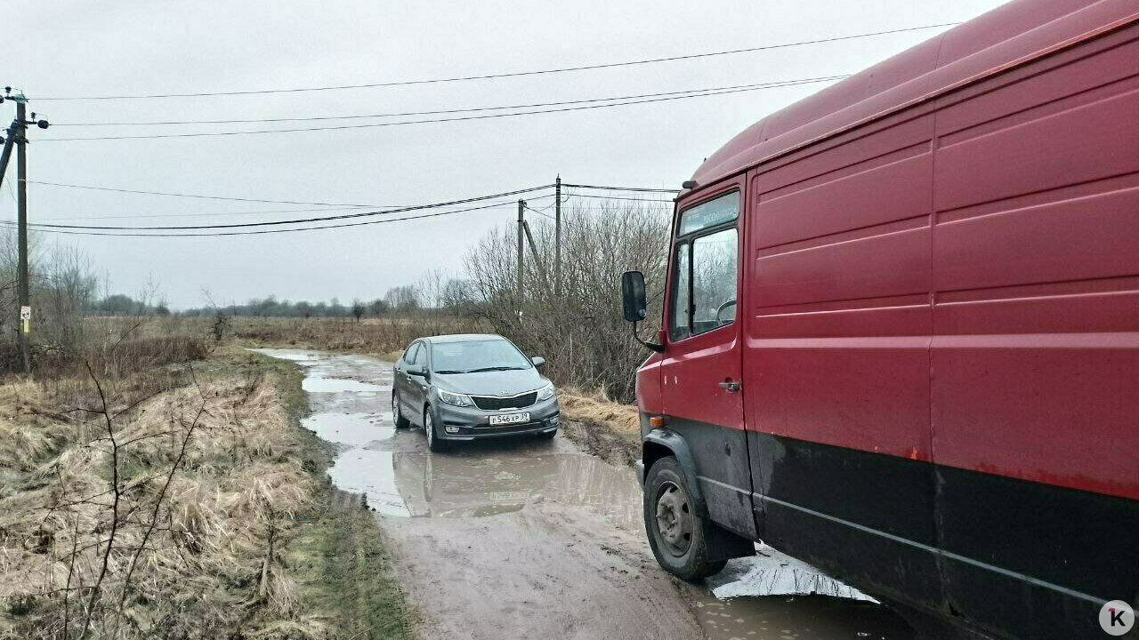 На просёлочной дороге под Калининградом два водителя отказались пропускать друг  друга и простояли почти час - Новости Калининграда