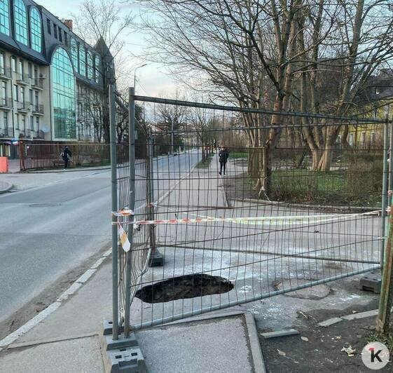В Калининграде почти три недели не могут заделать метровую яму на Каштановой Аллее (фото) - Новости Калининграда | Фото: «Клопс»