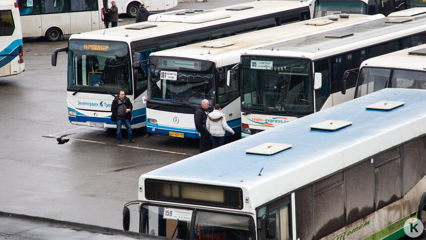С апреля подорожает проезд в автобусах на восток Калининградской области   - Новости Калининграда | Фото: Александр Подгорчук / Архив «Клопс»