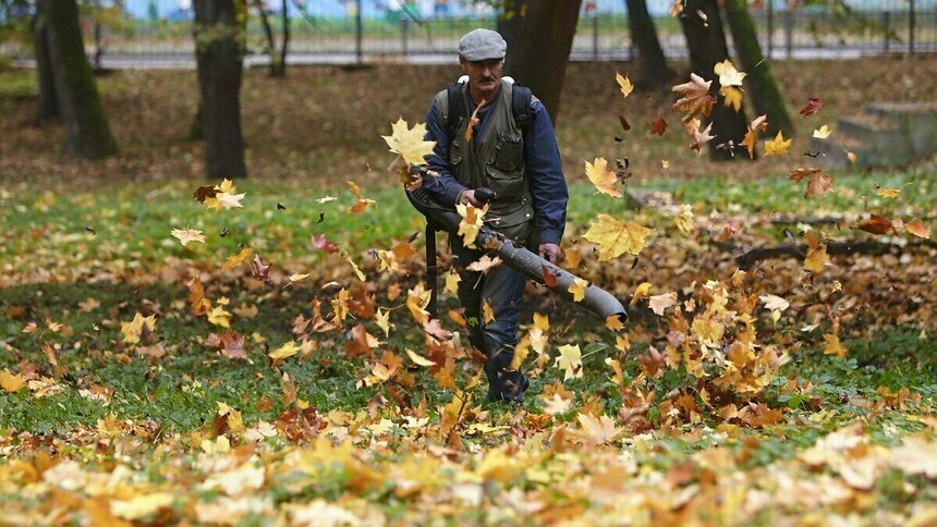 Подойдут силиконовые смазки: эксперт рассказал о ритуалах с садовой техникой перед зимой - Новости Калининграда | Фото: Александр Подгорчук / Архив «Клопс»