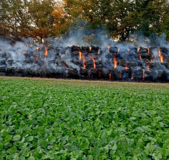 Площадь — 600 «квадратов»: в Правдинском районе загорелся огромный стог сена (фото, видео) - Новости Калининграда | Фото: МЧС региона